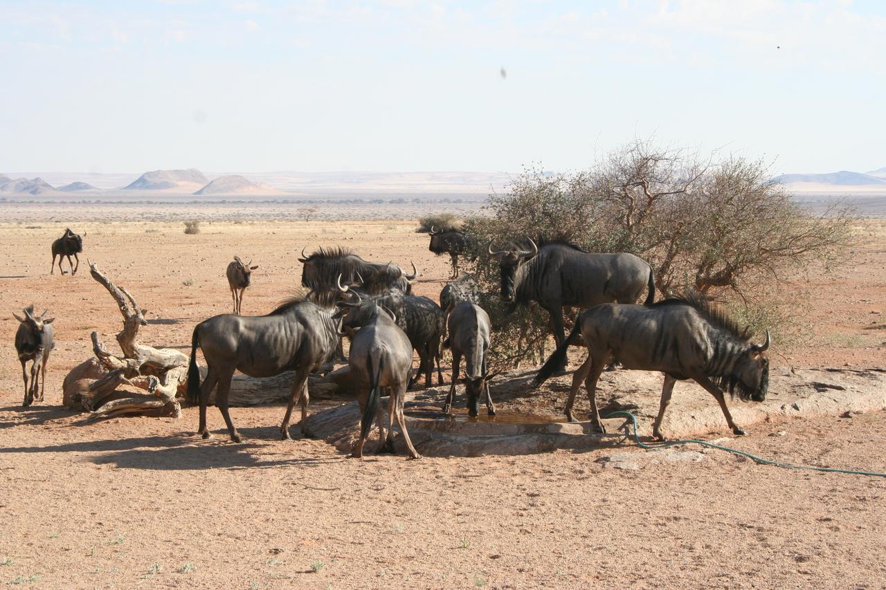 Namib Naukluft Lodge Solitaire Esterno foto